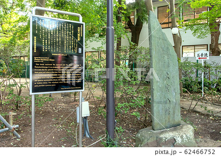 大宮八幡宮 62466752