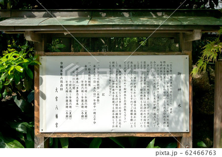 大宮八幡宮 62466763