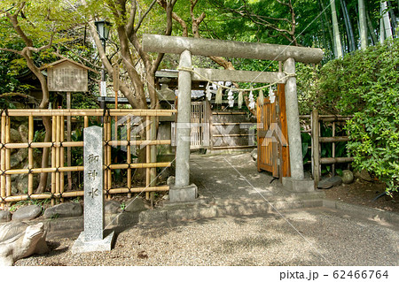 大宮八幡宮 62466764