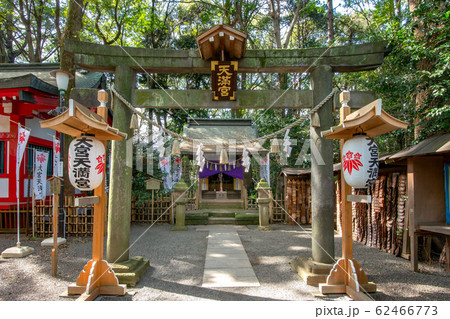 大宮八幡宮 62466773