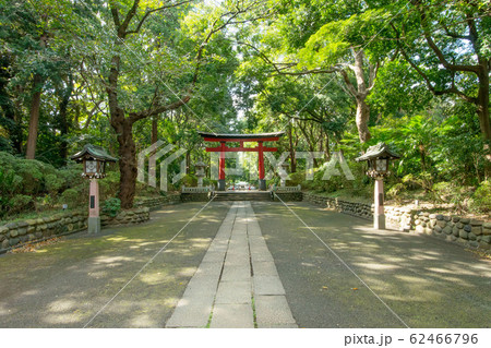 東京都杉並区の大宮八幡宮 62466796