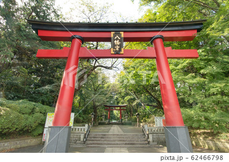 大宮八幡宮の写真素材