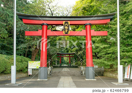 大宮八幡宮 大宮八幡宮 62466799