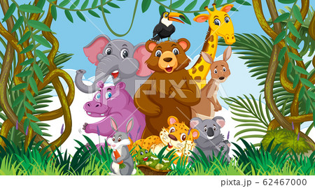 Scene with many wild animals in the forest 62467000
