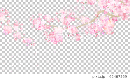 背景-和-和紙-和風-和柄-春-桜-枝 62467369