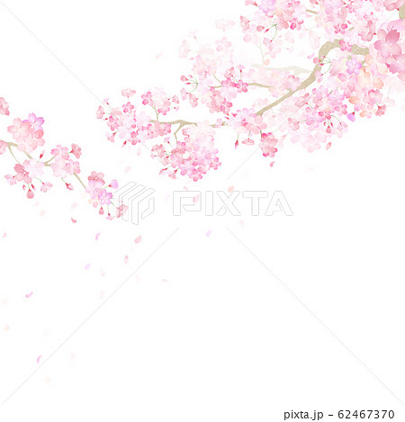 画像をダウンロード 和 柄 桜 イラスト 和風 さまたよ壁