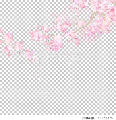 背景-和-和紙-和風-和柄-春-桜-枝 62467370