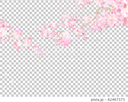 背景-和-和紙-和風-和柄-春-桜-枝 62467373