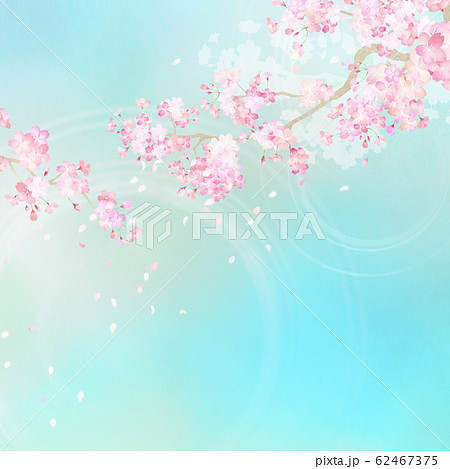 背景-和-和紙-和風-和柄-春-桜-枝-ブルー 62467375