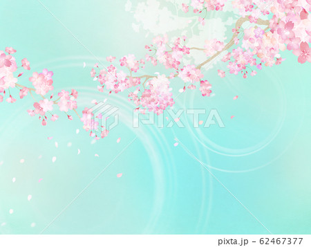 背景-和-和紙-和風-和柄-春-桜-枝-ブルー 62467377