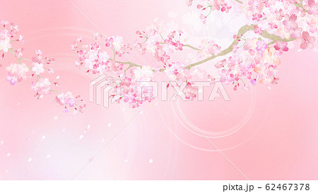 背景-和-和紙-和風-和柄-春-桜-枝-ピンク 62467378