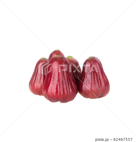 rose apple or rose apple fruit on the background rose apple or rose apple fruit on the background 62467557
