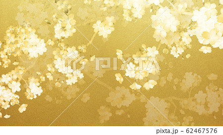 背景-和-和紙-和風-和柄-春-桜-枝-金箔 62467576