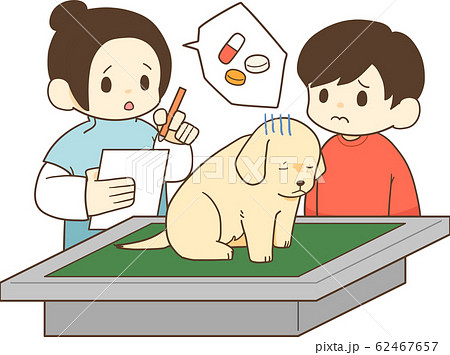 ゴールデンレトリバーの子犬(風邪・薬) ゴールデンレトリバーの子犬(風邪・薬) 62467657