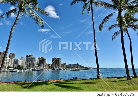 ハワイの休日 62467678