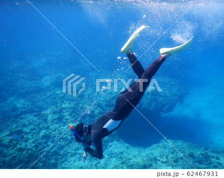 きれいに潜水 きれいに潜水 62467931