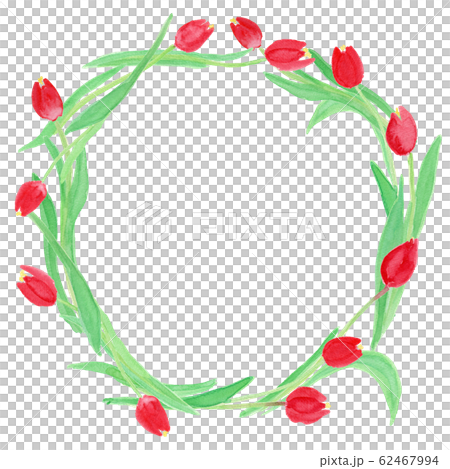 Red tulip wreath watercolor Red tulip wreath watercolor 62467994