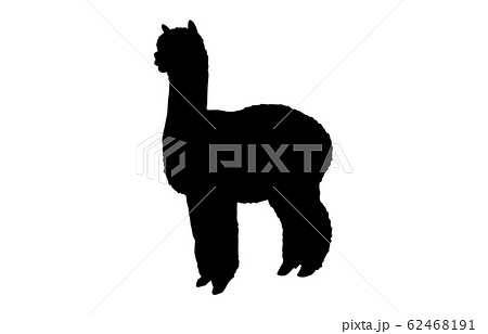 動物シルエット動物園アルパカ2のイラスト素材 [62468191] - PIXTA