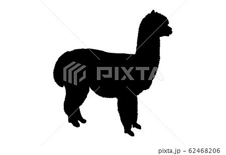 動物シルエット動物園アルパカ1のイラスト素材 62468206 Pixta