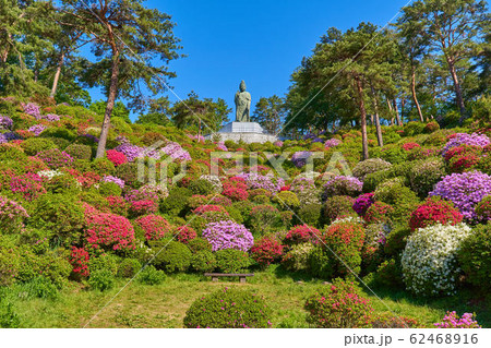 東京青梅市の塩船観音寺の観音池付近からツツジと平和観音像を見る 東京青梅市の塩船観音寺の観音池付近からツツジと平和観音像を見る 62468916