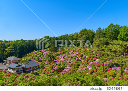 東京青梅市の塩船観音寺東側の遊歩道から護摩堂とツツジを見る 62468924
