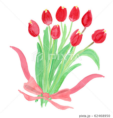 赤いチューリップの花束 水彩のイラスト素材