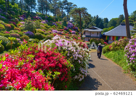 東京青梅市の塩船観音寺の観音池前広場付近から護摩堂方面 東京青梅市の塩船観音寺の観音池前広場付近から護摩堂方面 62469121
