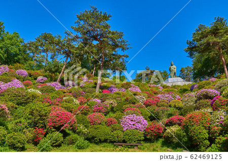 東京青梅市の塩船観音寺の観音池付近からツツジと平和観音像を見る 東京青梅市の塩船観音寺の観音池付近からツツジと平和観音像を見る 62469125