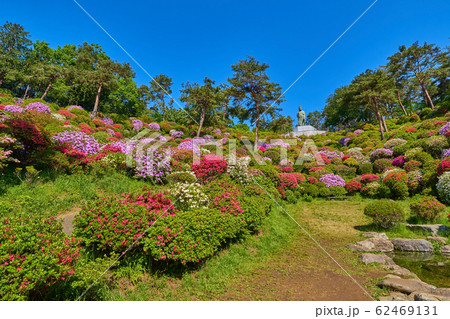 東京青梅市の塩船観音寺の観音池からツツジと平和観音像を見る 62469131