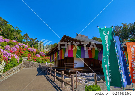東京青梅市の塩船観音寺護摩堂の西側からツツジと平和観音像を見る 東京青梅市の塩船観音寺護摩堂の西側からツツジと平和観音像を見る 62469160