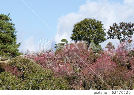偕楽園 好文亭 茨城県水戸市 偕楽園 好文亭 茨城県水戸市 62470529