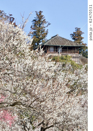 偕楽園　好文亭　茨城県水戸市 62470531