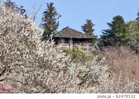 偕楽園　好文亭　茨城県水戸市 62470532