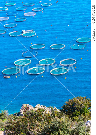 fish farm with floating cages in Greece fish farm with floating cages in Greece 62471619