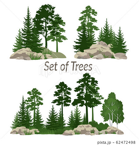 Landscapes with Trees and Rocks 62472498