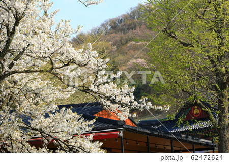 風景 観光 風 62472624