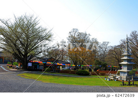 風景 観光 風 62472639