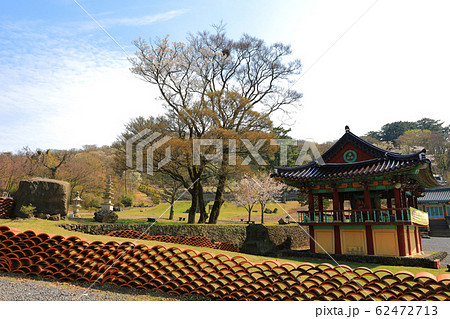 風景 木 寺院 62472713
