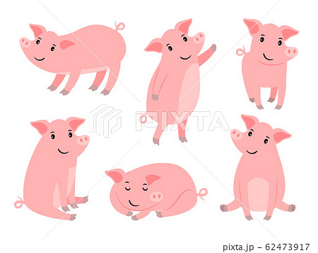Little piggy character. Cartoon funny pink pig boy isolated on white, cute piglet for christmas vector illustration 62473917