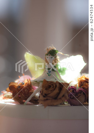 花の妖精 62474534