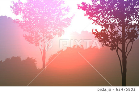 Natural forest mountains horizon hills silhouettes of trees Evening Sunrise and sunset Landscape wallpaper Illustration vector style Colorful view background Natural forest mountains horizon hills silhouettes of trees Evening Sunrise and sunset Landscape wallpaper Illustration vector style Colorful view background 62475903