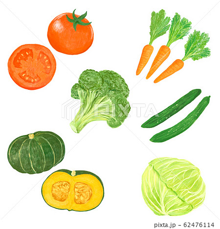 色鉛筆画の野菜のイラスト素材