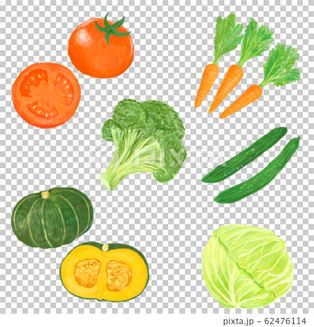 Vegetables hand drawn colored sketch Royalty Free Vector