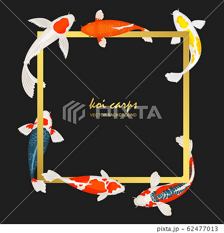 Koi fish and frame background 62477013