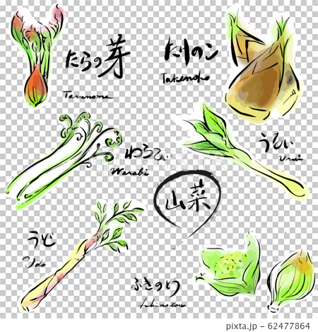 野菜套裝顏色手繪 62477864