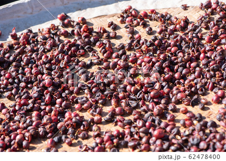 コーヒー 珈琲 カフェ 62478400