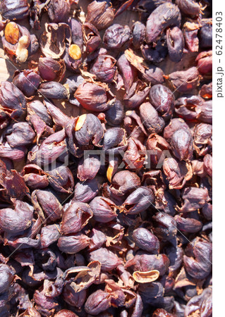 コーヒー 珈琲 カフェ 62478403