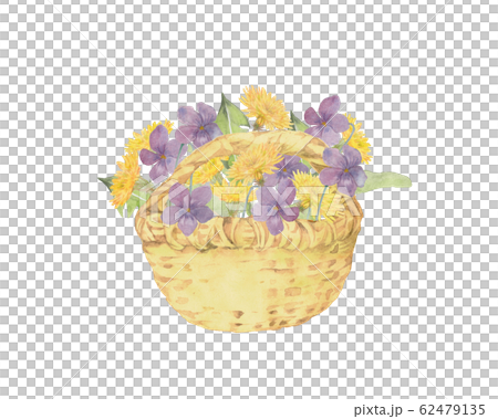スミレとたんぽぽの花籠 62479135