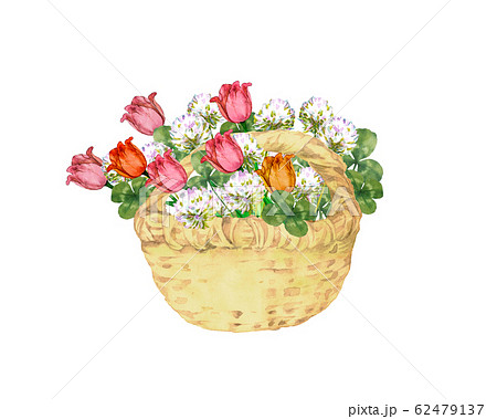チューリップとクローバーの花籠のイラスト素材 [62479137] - PIXTA