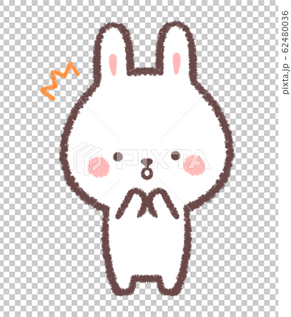 Rabbit surprised Rabbit surprised 62480036